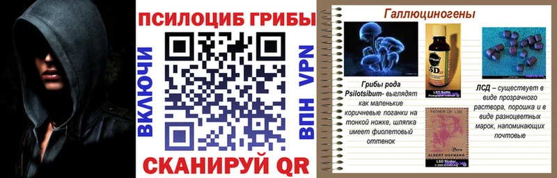 Псилоцибиновые грибы MAGIC MUSHROOMS  Власиха 